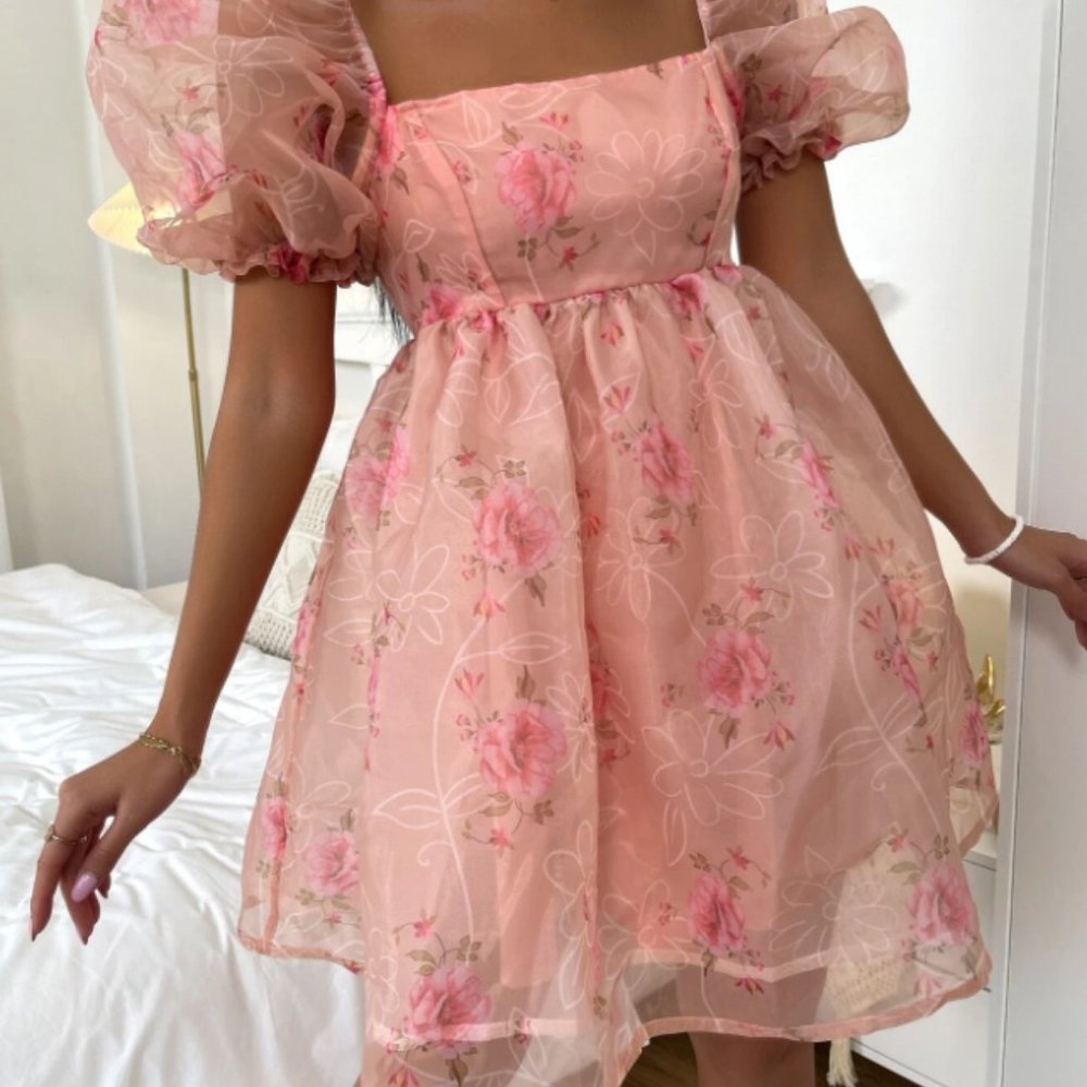 Floral Print Puff Sleeve Organza Dress
